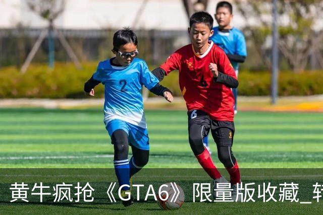 黄牛疯抢《GTA6》限量版收藏 转卖溢价超6000元